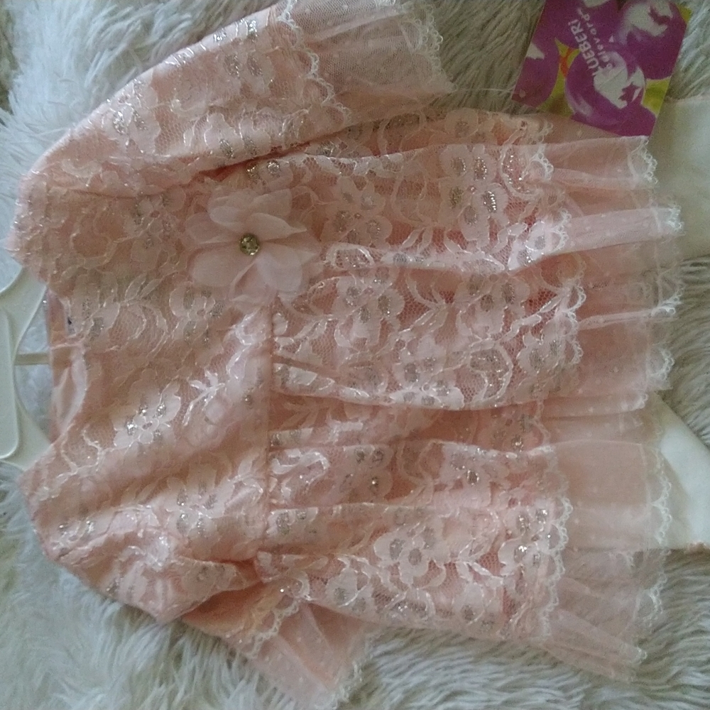 Blueberi Boulevard Baby Girls Lace Overlay Dress Pink 12 months